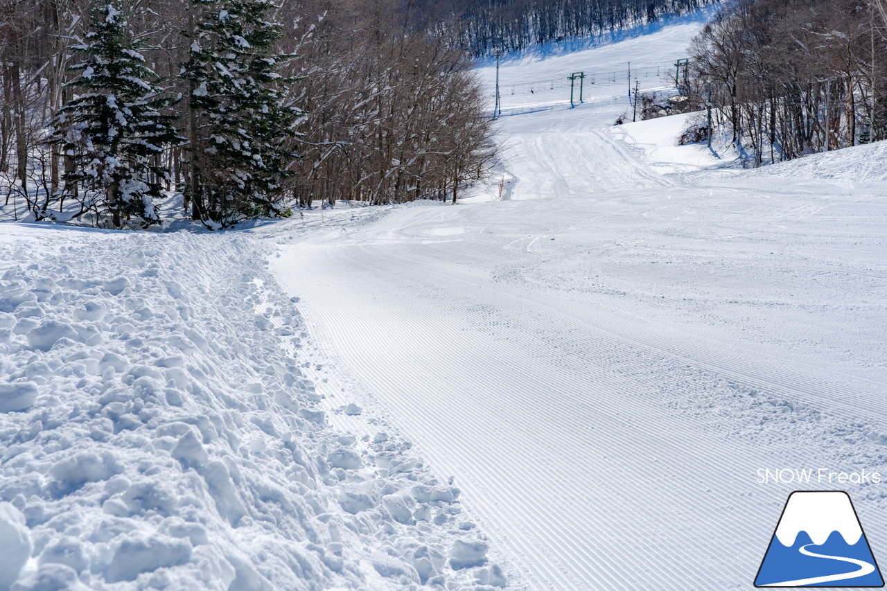 札幌藻岩山スキー場｜本日、雲一つ無い快晴！札幌藻岩山の全10コースの滑走にチャレンジ(^^)/